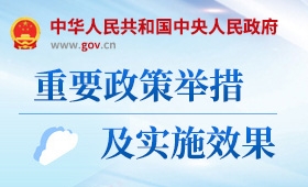 重要政策舉措及實(shí)施效果